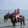 Horse Riding & Swimming – Three-Hour Ride