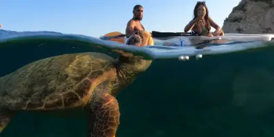 Cameo Kayak & Sup Morning Experience