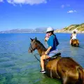 Horse Riding and swimming