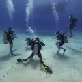 Private Scuba Diving Trip Half Day 4-5 hours