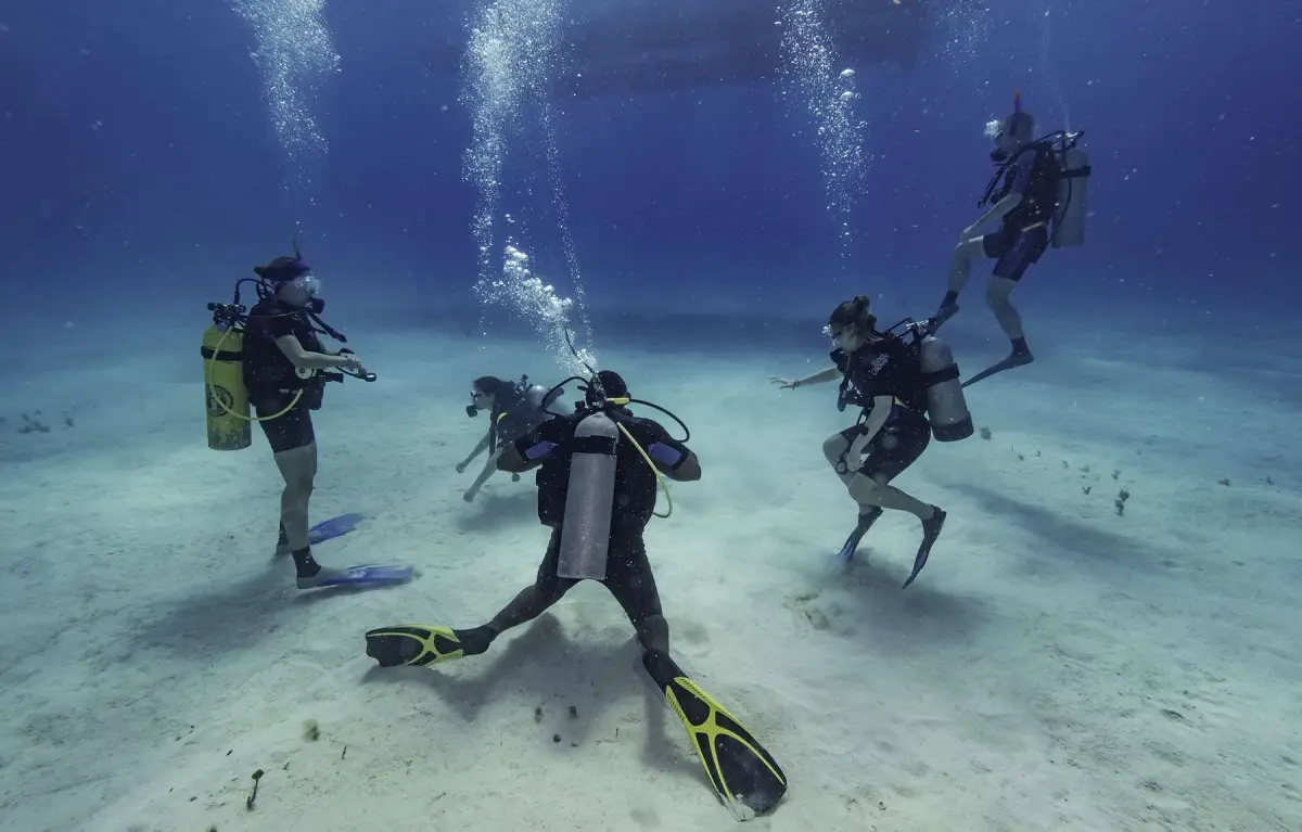 Private Scuba Diving Trip Half Day 4-5 hours