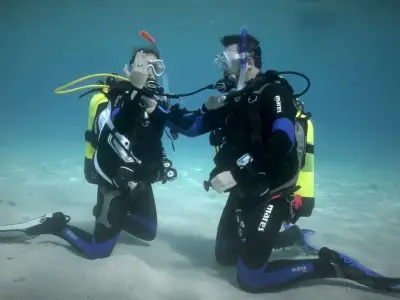 PADI Open Water Diver Certificate