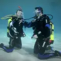 PADI Open Water Diver Certificate