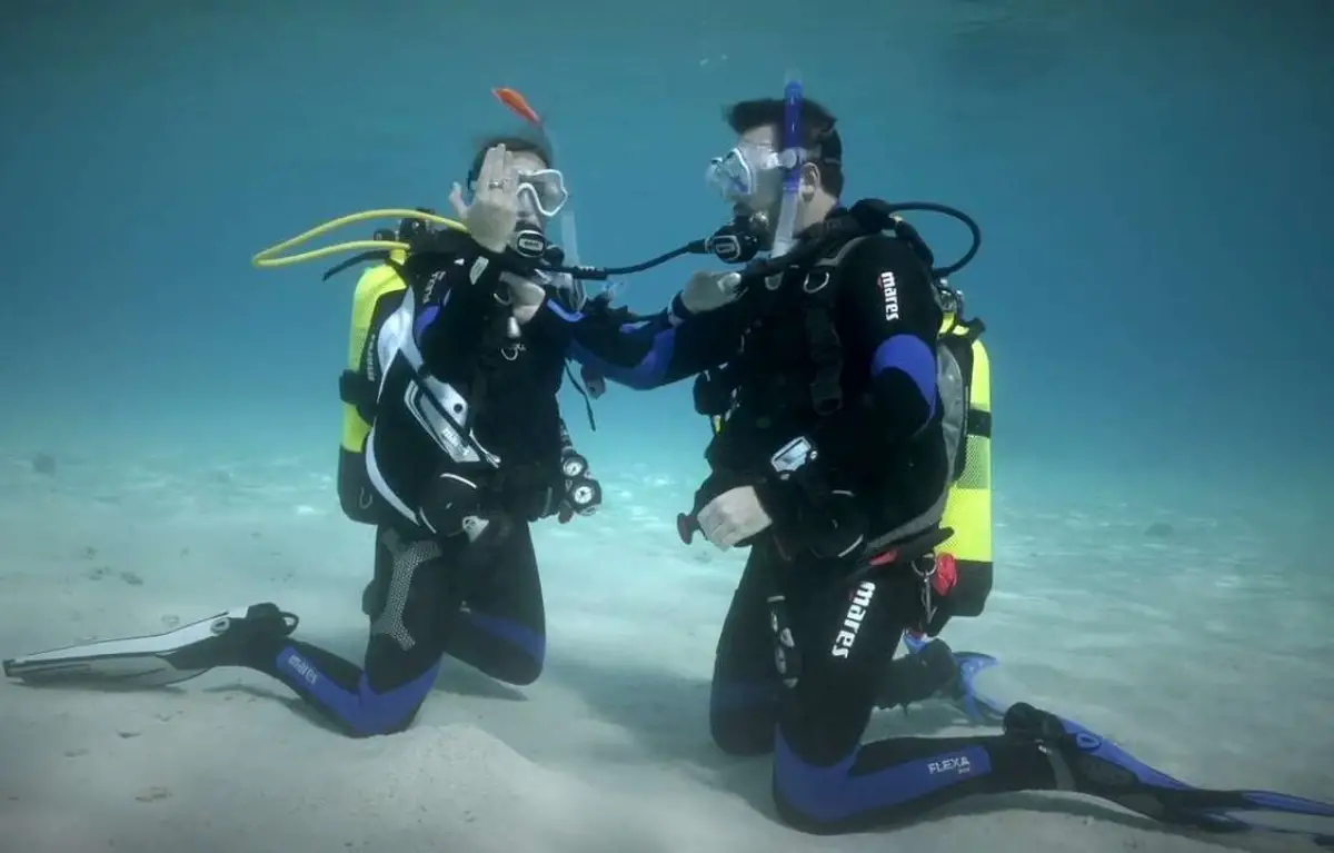 PADI Open Water Diver Certificate