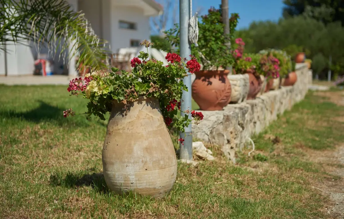 Villa Rania / Zante Drosia