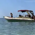 8 Hours Zakynthos Full Island Tour 