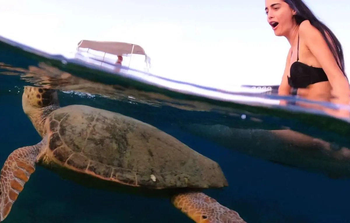 Marathonisi (Turtle Island) Sup & Snorkeling Sunset Experience