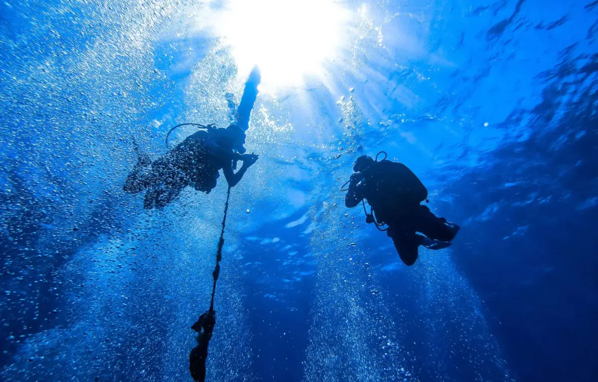 PADI Rescue Diver Certificate