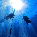 PADI Rescue Diver Certificate
