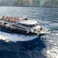 3 Hours Cruise to Marathonisi - Caretta Caretta from the Port of Zakynthos