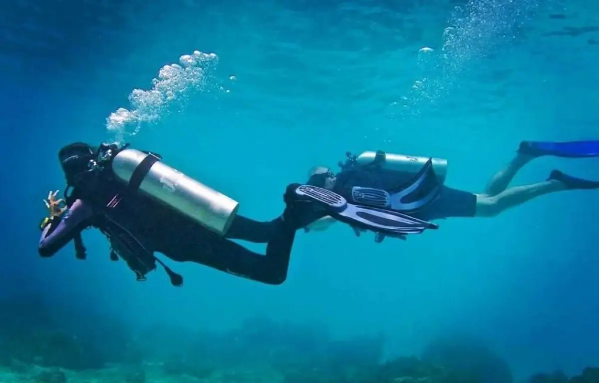 Private Scuba Diving Trip Full Day 8-9 hours