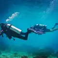 Private Scuba Diving Trip Full Day 8-9 hours