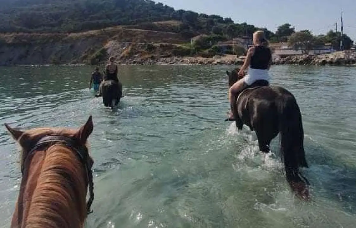 Horse Riding by the Sea (duration 45 minutes)