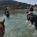Horse Riding by the Sea (duration 45 minutes)