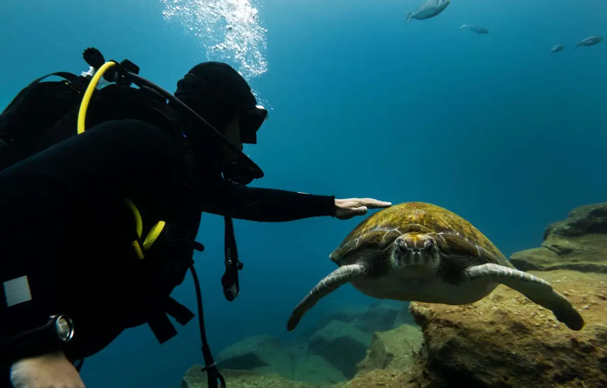 Experianced Scuba Diving 