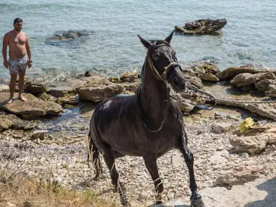 Horse Riding & Swimming – Three-Hour Ride