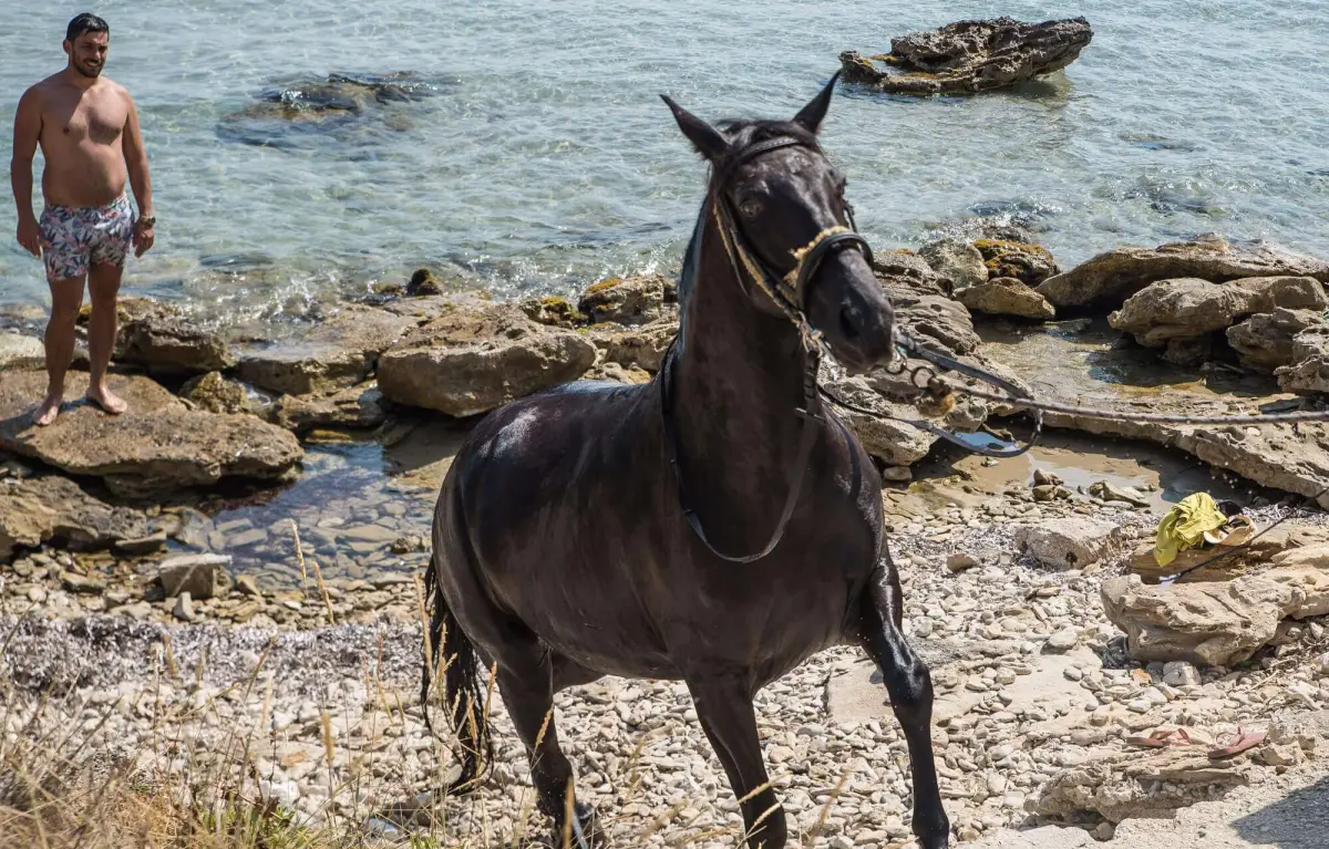 Horse Riding & Swimming – Three-Hour Ride