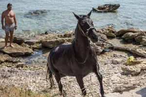 Yianni's Horses - Horse Riding & Swimming – Three-Hour Ride