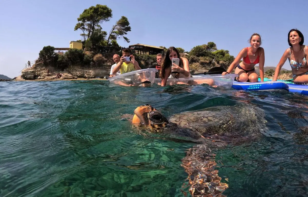 Cameo Kayak & Sup Morning Experience