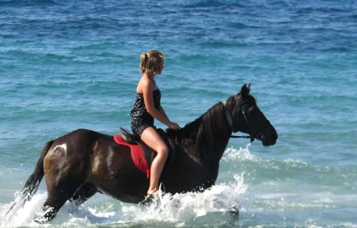 Horse Riding by the Sea (duration 45 minutes)