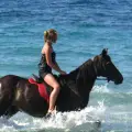 Horse Riding by the Sea (duration 45 minutes)