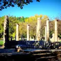 Excursion to Ancient Olympia
