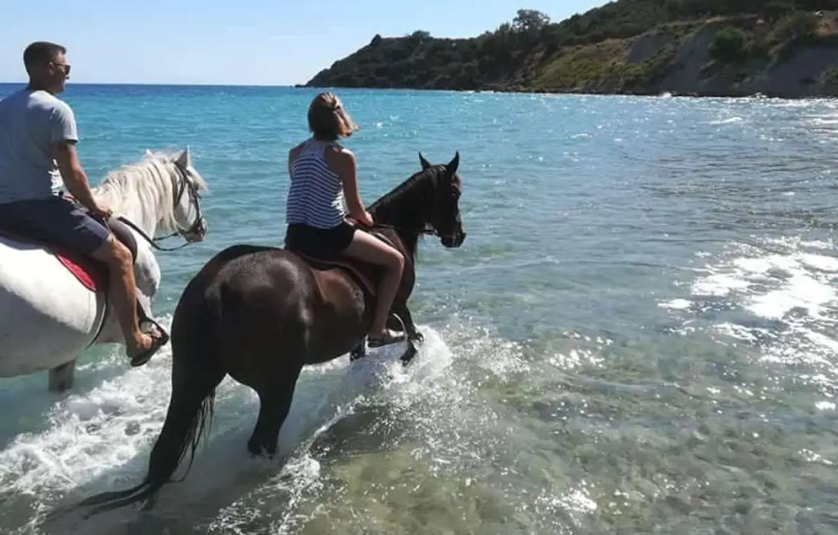 Horse Riding by the Sea (duration 45 minutes)