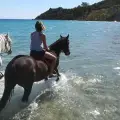 Horse Riding by the Sea (duration 45 minutes)