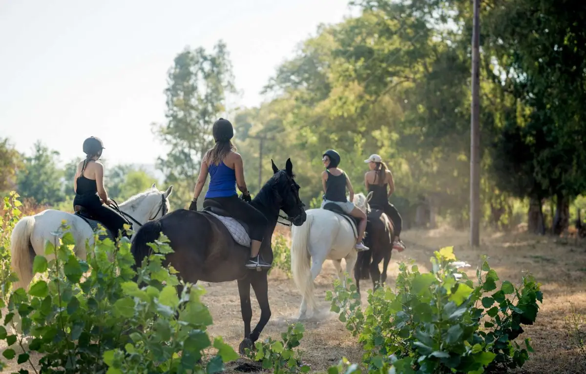 Horse Riding