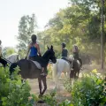 Horse Riding