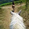 Horse Riding
