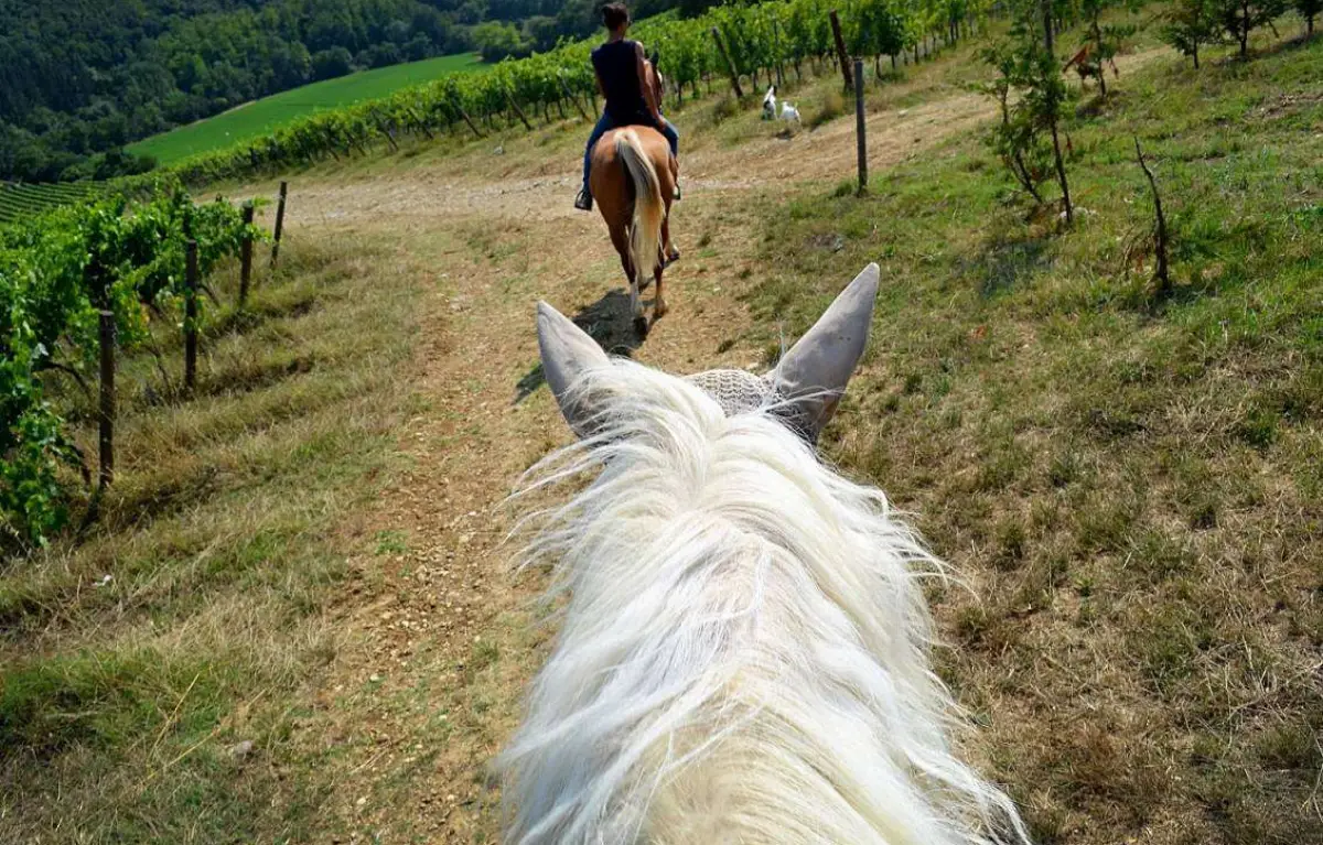 Horse Riding