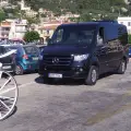 Mercedes Sprinter Van transport 