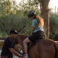 Horse Riding In Nature – One Hour Duration