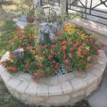 Jenny’s House