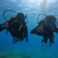 Try Diving 1 Person - up to 2 hours