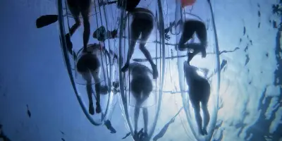 Marathonisi (Turtle Island) Sup & Snorkeling Sunset Experience