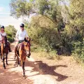 Horse Riding to the Mountain (duration 90 minutes)