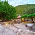 Private excursion to Wineries & Olive Mills (Duration 4 Hours)