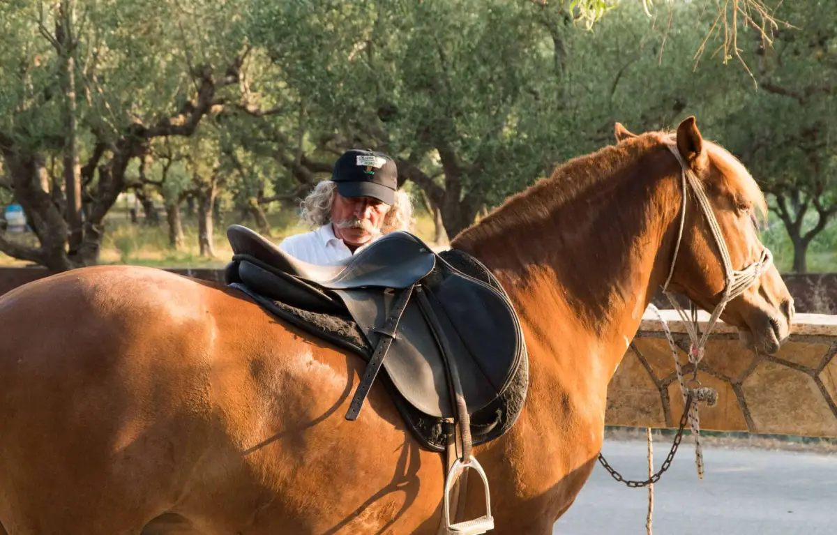 Horse Riding In Nature – One Hour Duration