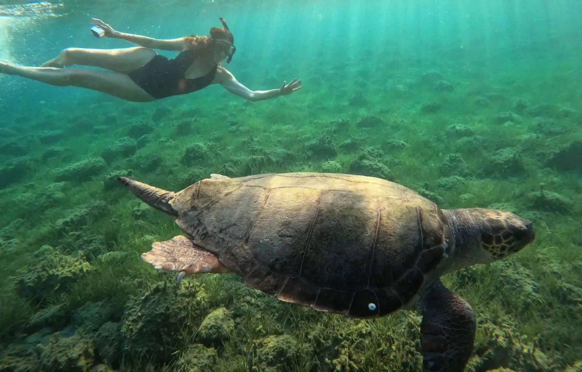 Marathonisi (Turtle Island) Sup Noon Experience