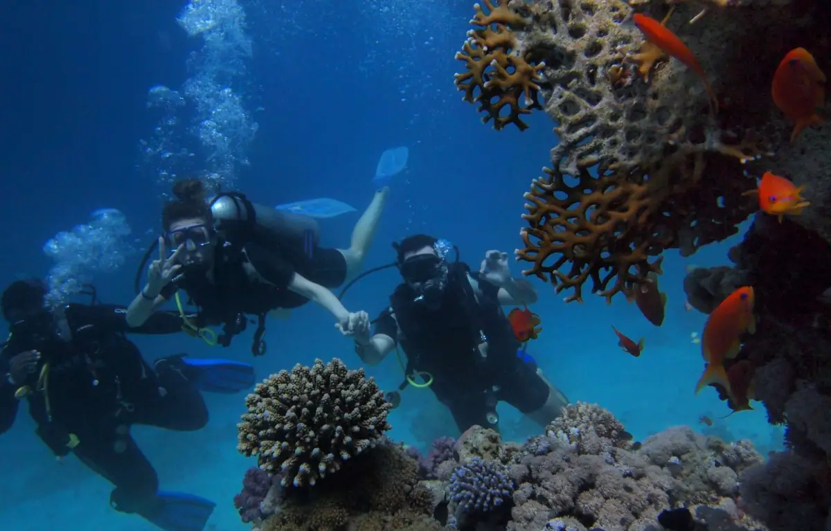 Experianced Scuba Diving 