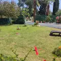 Chrysanthi's House