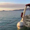 6 Hours Cruise to Navagio (Shipwreck)