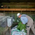 Loukas Farm House