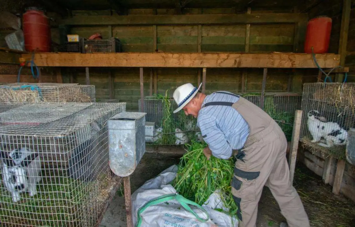Loukas Farm House