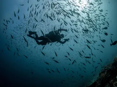 PADI Divemaster Certificate