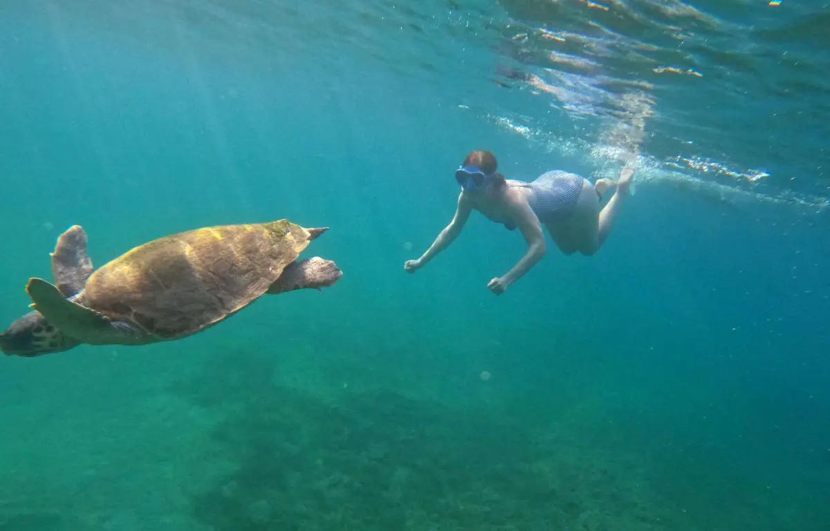 Marathonisi (Turtle Island) Sup & Snorkeling Sunset Experience