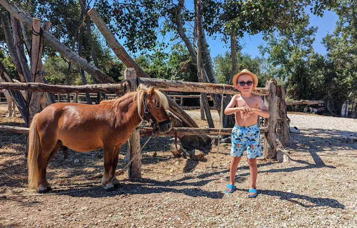 Horse Riding to the Mountain (duration 90 minutes)