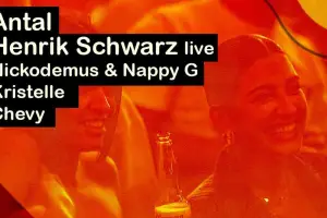 SHAPES FESTIVAL - Shapes Event presents: Antal, Henrik Schwarz, Nickodemus & Nappy G, Kristelle, Chevy @ Barrage Club Zakynthos